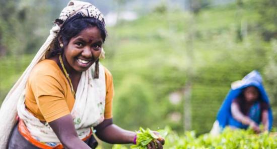 தோட்டத் தொழிலாளர்களின் சம்பள ஒப்பந்தம் கைச்சாத்து